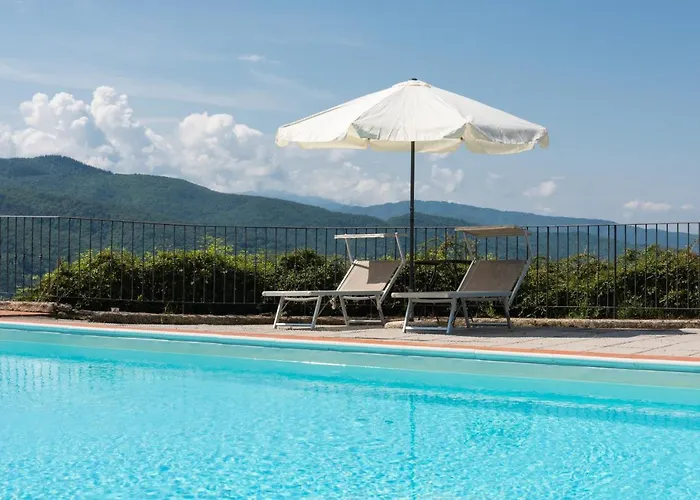 Universal Harmony - Capinera *