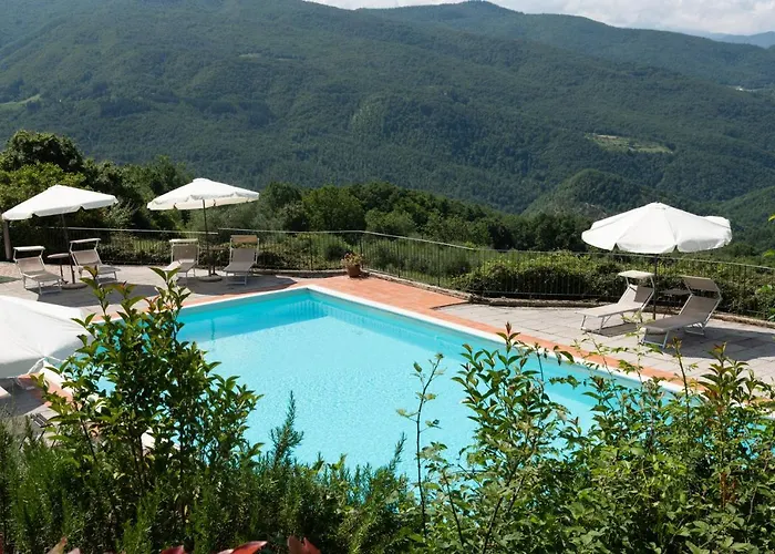 Universal Harmony - Capinera