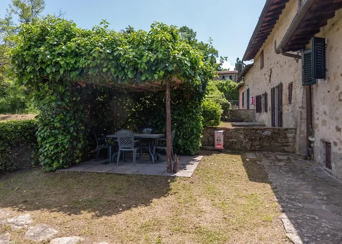 Universal Harmony - Capinera *