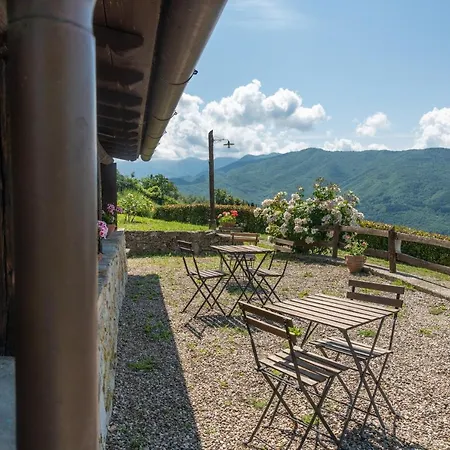 Universal Harmony - Capinera