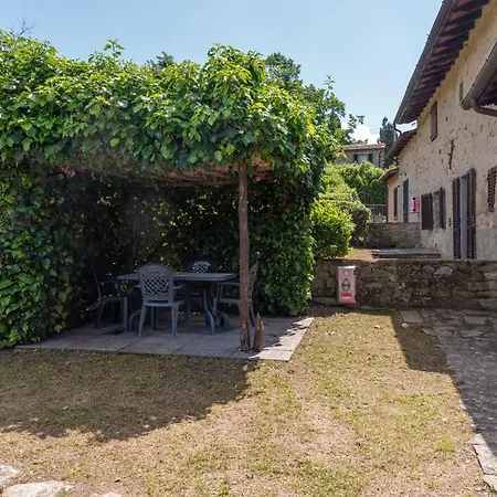 Universal Harmony - Capinera *