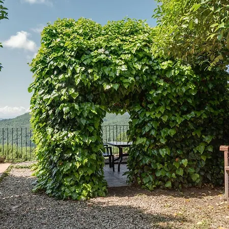 Universal Harmony - Capinera Alloggio per agriturismo *