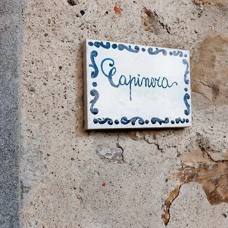 Alloggio per agriturismo Universal Harmony - Capinera *